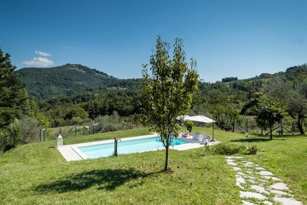 Alla Bella Aurora With Amazing Pool In Tuscany Villa Lucca Buitenkant foto